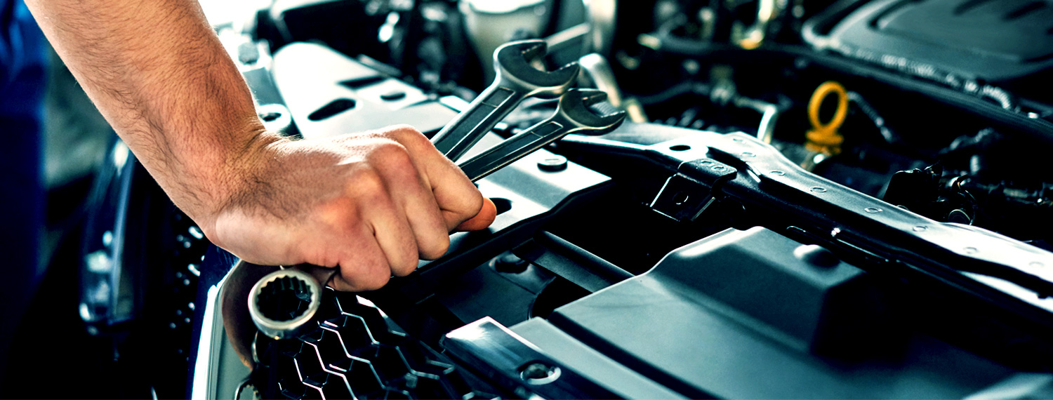 Import Specialists